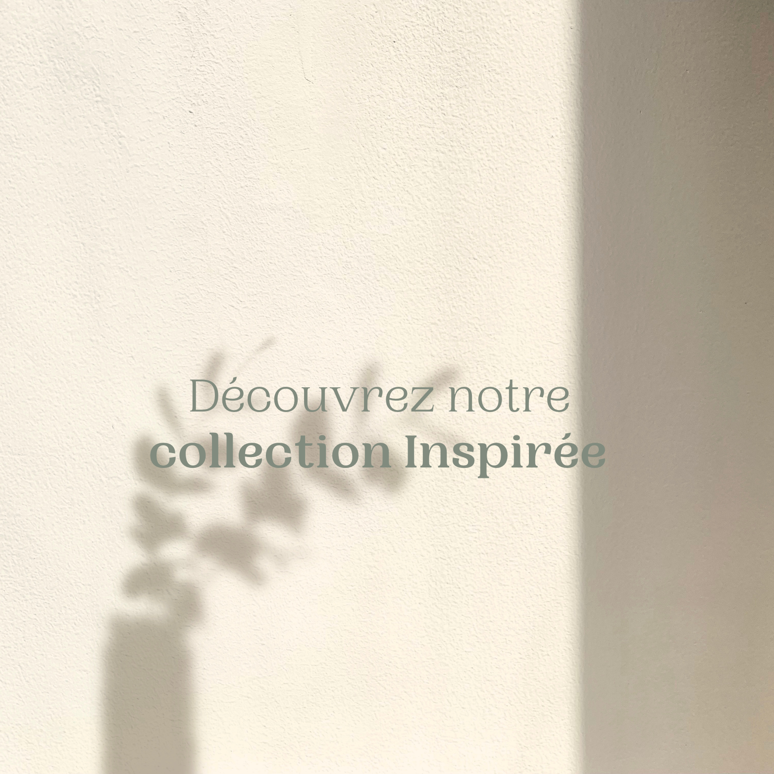 🌿 Collection Inspirée